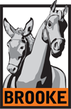 logo Brooke